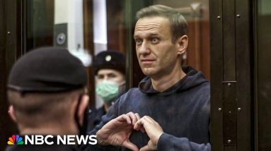 Navalny dies in Siberian gulag known as 'the polar wolf'